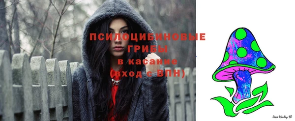 spice Беломорск