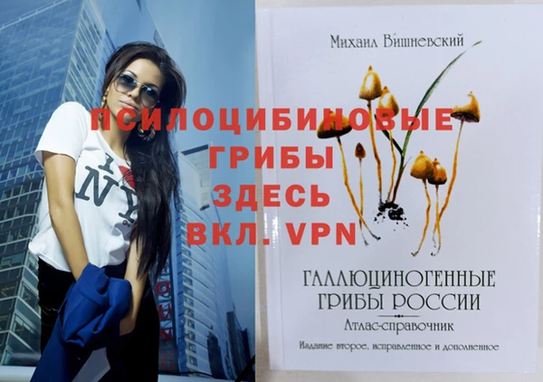 прущий лед Видное